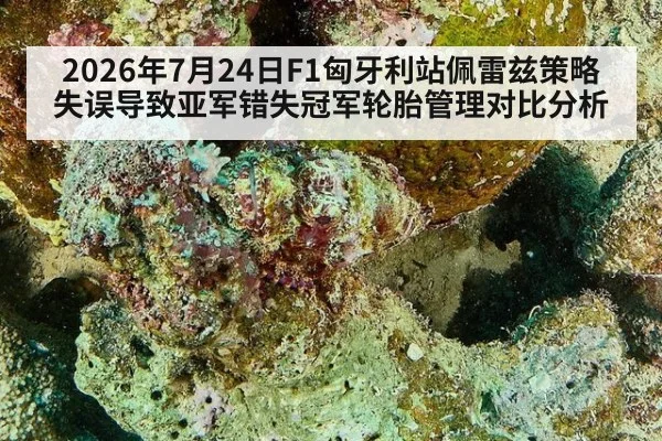 2026年7月24日F1匈牙利站佩雷兹策略失误导致亚军错失冠军轮胎管理对比分析